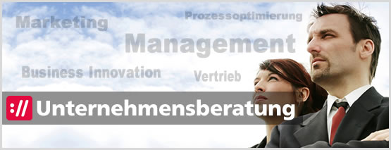 Web Site, Homepage, CMS, Multimedia Website, E-Commerce, Web Shop
